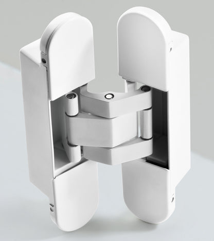 Invisible Hinge